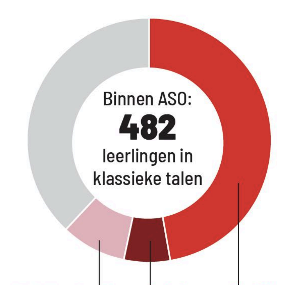 1.439 Antwerpse scholieren zitten in een ‘spookrichting’: “Afstuderen als kitesurfer? Sorry, dat is niet de bedoeling”